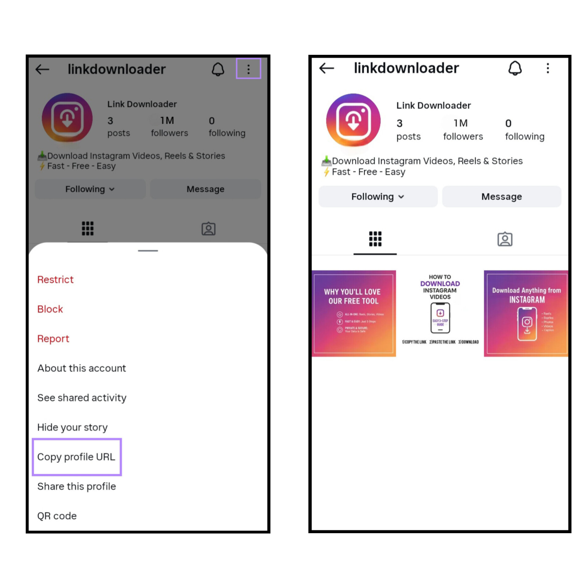 Instagram Profile Downloader
