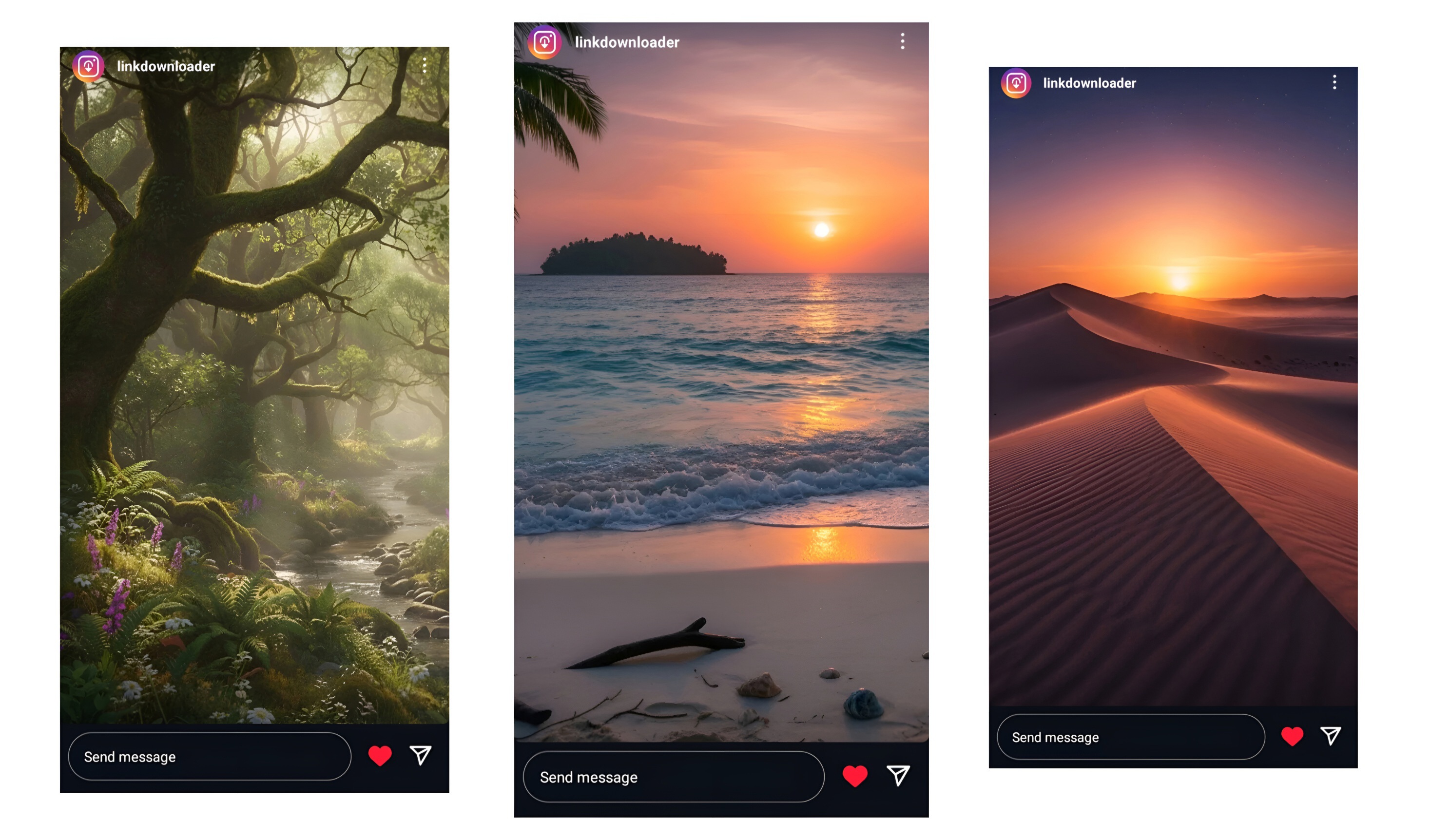 Instagram Story Downloader