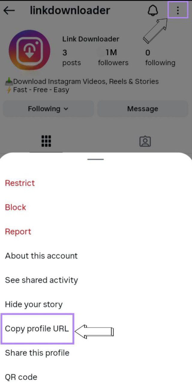 Copy Instagram link