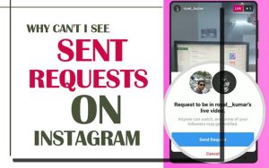 Why Can’t I See Sent Requests on Instagram?